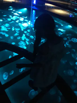 すみだ水族館に投稿された画像（2022/7/13）