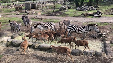 伊豆アニマルキングダムに投稿された画像（2022/7/13）