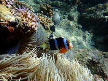 マリンクラブジジに投稿された画像（2022/7/13）