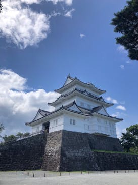 小田原城に投稿された画像（2022/7/13）