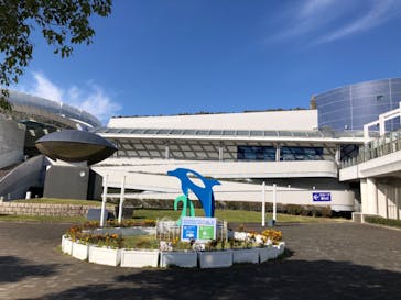 名古屋港水族館に投稿された画像（2022/7/13）