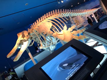 名古屋港水族館に投稿された画像（2022/7/13）