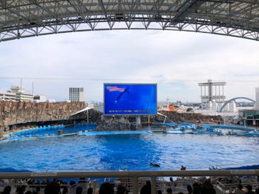 名古屋港水族館に投稿された画像（2022/7/13）