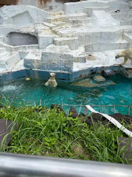 天王寺動物園に投稿された画像（2022/7/13）