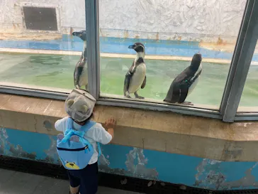 天王寺動物園に投稿された画像（2022/7/13）