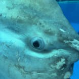 横浜・八景島シーパラダイスに投稿された画像（2022/7/14）