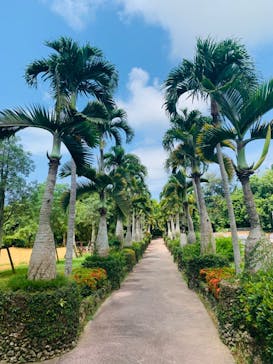 美らヤシパークオキナワ・東南植物楽園に投稿された画像（2022/7/14）