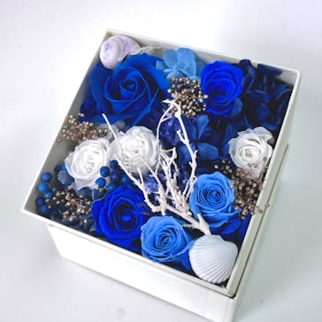 ずこうしつ〜sugamo〜に投稿された画像（2022/7/14）