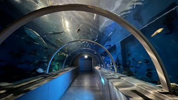 登別マリンパークニクスに投稿された画像（2022/7/14）