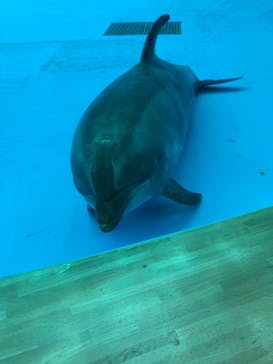 アクアワールド茨城県大洗水族館に投稿された画像（2022/7/14）