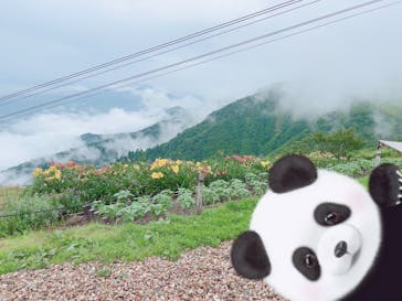 びわ湖バレイに投稿された画像（2022/7/14）