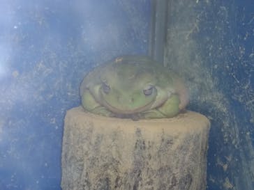 越前松島水族館に投稿された画像（2022/7/12）