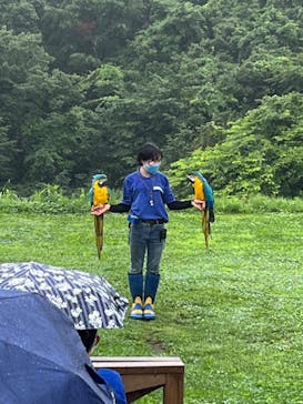 那須どうぶつ王国に投稿された画像（2022/7/14）