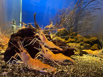 横浜・八景島シーパラダイスに投稿された画像（2022/7/14）