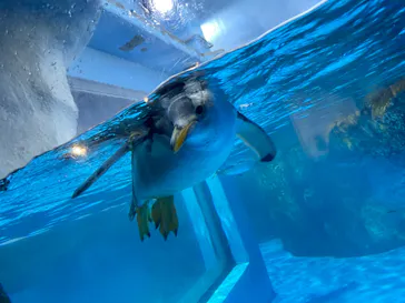 横浜・八景島シーパラダイスに投稿された画像（2022/7/14）