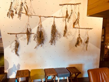 おふろcafé ハレニワの湯に投稿された画像（2022/7/14）