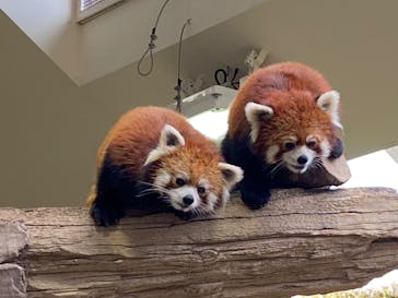 那須どうぶつ王国に投稿された画像（2022/7/14）