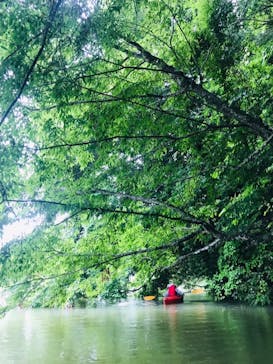 カヌーリゾートたまよどに投稿された画像（2022/7/14）