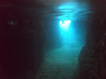 武藤潜水に投稿された画像（2022/7/15）