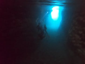 武藤潜水に投稿された画像（2022/7/15）