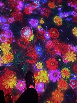 森ビル デジタルアート ミュージアム：エプソン チームラボボーダレスに投稿された画像（2022/7/15）