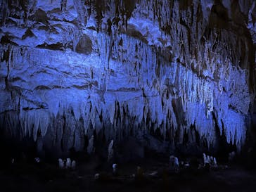 おきなわワールドに投稿された画像（2022/7/10）