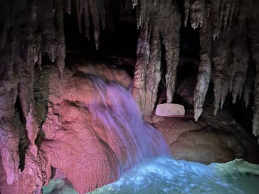 おきなわワールドに投稿された画像（2022/7/10）