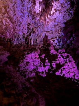 おきなわワールドに投稿された画像（2022/7/10）