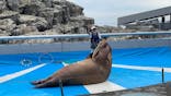 大分マリーンパレス水族館 「うみたまご」に投稿された画像（2022/7/15）