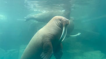大分マリーンパレス水族館 「うみたまご」に投稿された画像（2022/7/15）