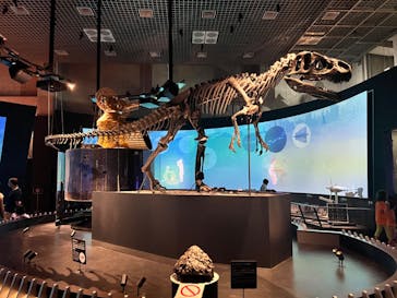 国立科学博物館に投稿された画像（2022/7/15）