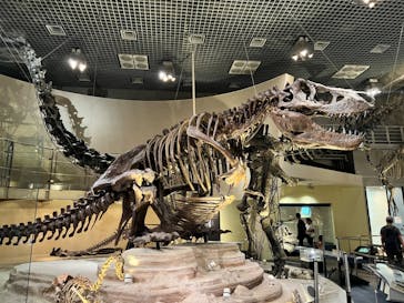 国立科学博物館に投稿された画像（2022/7/15）