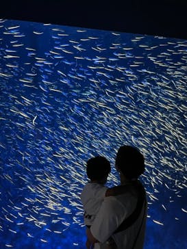 大分マリーンパレス水族館 「うみたまご」に投稿された画像（2022/7/15）