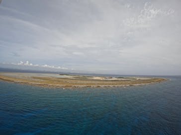 Sea World（シーワールド）に投稿された画像（2022/7/15）