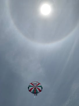 Sea World（シーワールド）に投稿された画像（2022/7/15）