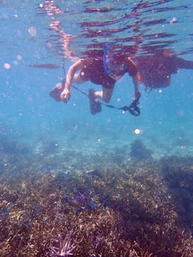 宮古島 ADVENTURE PiPi（ミヤコジマ アドベンチャー ピピ）に投稿された画像（2022/7/15）