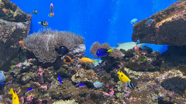 仙台うみの杜水族館に投稿された画像（2022/7/15）