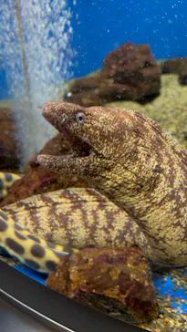 仙台うみの杜水族館に投稿された画像（2022/7/15）