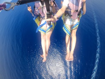 Sea World（シーワールド）に投稿された画像（2022/7/15）