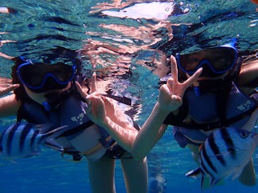 Sea World（シーワールド）に投稿された画像（2022/7/15）