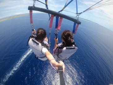 Sea World（シーワールド）に投稿された画像（2022/7/15）