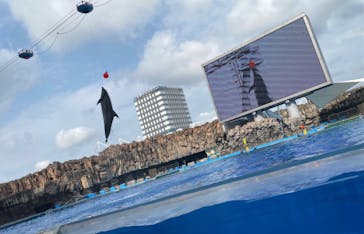 名古屋港水族館に投稿された画像（2022/7/15）