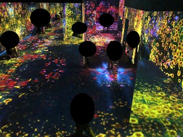 森ビル デジタルアート ミュージアム：エプソン チームラボボーダレスに投稿された画像（2022/7/15）