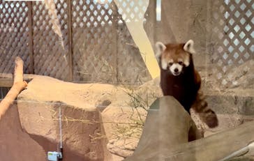 ネオパークオキナワに投稿された画像（2022/7/15）