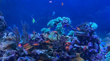 サンシャイン水族館に投稿された画像（2022/7/15）