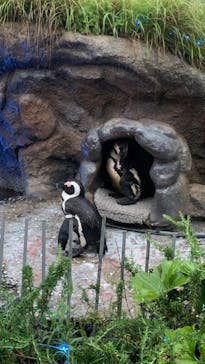 サンシャイン水族館に投稿された画像（2022/7/15）