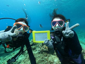 沖縄マリンサービス碧に投稿された画像（2022/7/15）