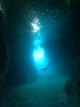 沖縄マリンサービス碧に投稿された画像（2022/7/15）