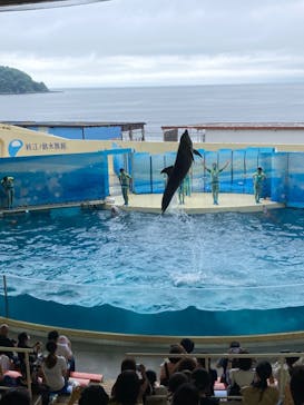 新江ノ島水族館に投稿された画像（2022/7/16）