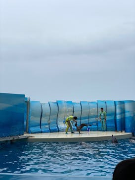 新江ノ島水族館に投稿された画像（2022/7/16）